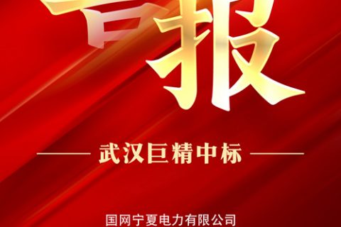 热烈祝贺suncitygroup中标国网宁夏电力有限公司2022年新增非电网零星物资框架协议竞争性谈判采购