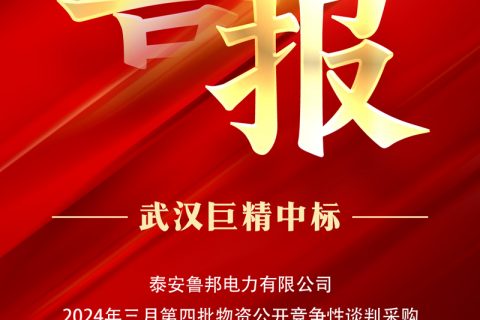 热烈祝贺suncitygroup中标泰安鲁邦电力有限公司2024年三月第四批物资果真竞争性谈判采购